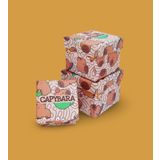 Capybara Desenli 3'lü Hediye Kutusu Seti | Mini Kutu Seti (Capybara)