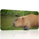 Capybara Oyuncu Gaming Mouse Pad Kauçuk Kaymaz Taban Mousepad (V1, 90x40 XXL)