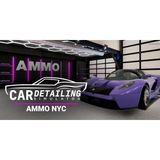 Car Detailing Simulator Ammo Nyc Dlc (Pc)