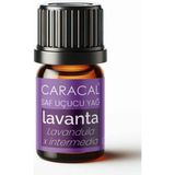 Caracal Doğal Lavanta Yağı 5ml %100 Saf Uçucu Yağ
