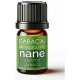 Caracal Doğal Nane Yağı 5ml %100 Saf Uçucu Yağ