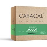 Caracal Xcool Çay Ağacı Yağ Sabunu Doğal El Yapımı At Kestanesi Kuşburnu Aloe Vera