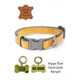 caramelos HAKİKİ DERİ KÖPEK BOYUN TASMASI, KİŞİYE ÖZEL KÜNYELİ, ORTA IRK, BÜYÜK IRK, LUX SERİ Sarı-Tek Ebat