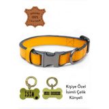 caramelos HAKİKİ DERİ KÖPEK BOYUN TASMASI, KİŞİYE ÖZEL KÜNYELİ, ORTA IRK, BÜYÜK IRK, LUX SERİ Turuncu-Tek Ebat