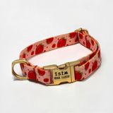 Caramelos İsimli Köpek Tasması, Küçük Irk ve Yavru Köpek için, Metal Kilit, 1,5 CM (KIRMIZI, MEDIUM)