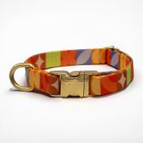 Caramelos İsimli Köpek Tasması, Küçük Irk ve Yavru Köpek için, Metal Kilit, 1,5 CM (TURUNCU, MEDIUM)