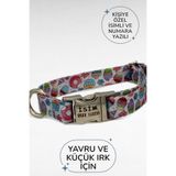caramelos İSİMLİ KÖPEK TASMASI, YAVRU KÖPEK TASMASI, KÜÇÜK IRK KÖPEK TASMASI, METAL KİLİT, 1,5 CM Çok Renkli-M