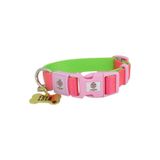 caramelos İSİMLİKL, YAVRU VE KÜÇÜK IRK KÖPEK TASMASI, 2 CM, PASLANMAZ, KARARMAZ ÇELİK KÜNYELİ, KİŞİYE ÖZEL, FUŞYA-S