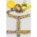 CARAMELOS KÖPEK TASMA SETİ KİŞİYE ÖZEL İSİMLİ TASMA, H TİPİ TASMA ,GÖVDE+GEZDİRME TASMASI, KÖPEK KÜNYE