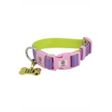 Caramelos Köpek Tasması, Mor ve Yeşil, 2 cm, Paslanmaz Çelik Künye, Kişiye Özel İsimlik, S/M/L Beden