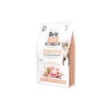 Care Grain Taze Hindili Ve Somonlu Tahılsız Kedi Maması 2 Kg