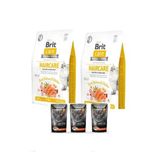 Care Haircare Deri Ve Tüy Sağlığı Için Tahılsız Yetişkin Kedi Maması2kgx2=4Kg+Somonlu Yaşmamax3