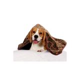 Careshop Sıvı Ve Rüzgar Geçirmez Polar Baskılı Köpek Battaniyesi