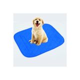 Caretex 75X85 cm Yıkanabilir Emici Kedi Köpek Çiş Pedi Mavi