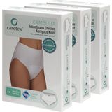 Caretex Camelia Orta Emici,antialerjik,yıkanabilir Kadın Emici Külot 3'lü Ekonomik Paket