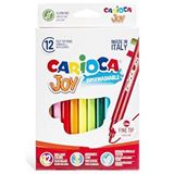 Carioca Joy Yıkanabilir Keçeli Kalem 12 Renk Çok Renkli