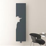 Carisa Lymm Dikey İnce Tasarım Çelik Radyatör Modern Tasarım Antrasit 179x47 Cm