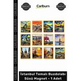 Carlburn #Magnet Hediyelik Hatıra Turistik Dekoratif Şehir Baskılı İstanbul Temalı Buzdolabı Süsü Magnet