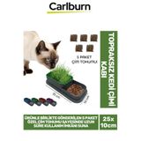 Carlburn Özel Üretim 5 Adet Kedi Çimi Tohumu Topraksız Kedi Çimi Kabı 25x10cm