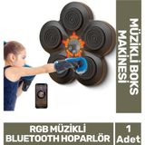 Carlburn Özel Üretim Rgb Müzikli Bluetooth Hoparlör Genç Yetişkin Boks Egzersiz Müzikli Boks Makinesi