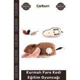 Carlburn #petshop Interaktif Hareketli Mekanik Avcılık Içgüdü Geliştiren Kurmalı Fare Kedi Eğitim Oyuncağı - Tek Ebat - Çok Renkli