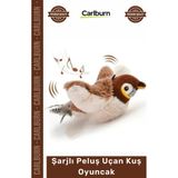 Carlburn #petshop Kedi Avcılık Içgüdüsü Tetikleyici Kanat Çırpan Sesli USB Şarjlı Ipli Peluş Uçan Kuş Oyuncak - Tek Ebat - Çok Renkli