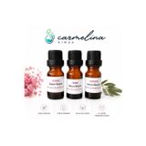 Carmelina 3'Lü Sabun Boyası Pembe-Mor-Kırımızı