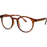 Carmelo Eyewear Kadın Mavi Işık Koruma Gözlüğü C01OK005