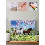 Carmen Sayılarla Boyama Seti 40 x 50 cm Çam Çıtaya Gerilmiş Pamuklu Tuval ile Renkli