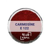 Carmoisine E122 Vişne Kırmızı Toz Gıda Boyası 500 gr