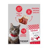 Carnaval Kemik ve Kas Gelişimi Destekleyici Kuzu Etli Yetişkin Kedi Maması 15kg