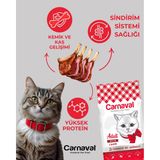 Carnaval Premium Yetişkin Kedi Maması Kuzu Etli 15+1 Kg