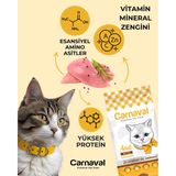 Carnaval Premium Yetişkin Kedi Maması Tavuklu 15+1 Kg