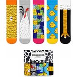 Carnaval Socks 5\\\'li Civciv & Kedi Desenli Çorap Koleksiyonu / Özel Tasarım Premium Kutulu Çorap Seti - Standart - Çok Renkli