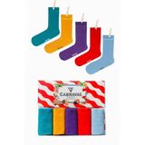 Carnaval Socks 5'li Pastel Renkli Çorap Moda Kutusu - 36 - 44