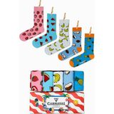 Carnaval Socks 5'li Yaz Meyveleri Desenli Renkli Çorap Kutusu - 36 - 44