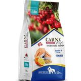 Carni Life Cranberry Somonlu ve Portakallı 12 kg Orta ve Büyük Irk Yetişkin Köpek Maması