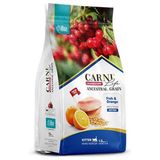 Carni Life Kitten 10 kg Balık/Portakal Kedi Maması