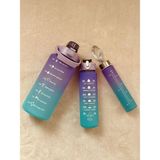 Carnivalland 3'lü Motivasyon Suluk Seti 2.000 ml 750 ml 300 ml - 2000/750/300ml - BPA FREE TRİTAN MALZEME - Karışık-Çok Renkli