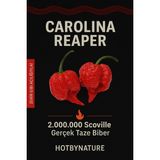 Carolına Reaper Pepper / 2,5 Milyon Scoville - Gerçek Taze Acı Biber - 2 Adet