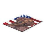 Caroline "S Treasures fare/Hot Pad/altlık, USA Amerikan Bayrağı AV köpeği (SC9010MP)