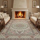 Carpettex Pembe Tonlarda İran Motifli Halı Dijital Baskılı Kaymaz Tabanlı Yıkanabilir Leke Tutmaz Antibakteriyel