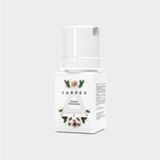 Carpex Micro Koku Makinesi Kartuşu 50 ml 6'lı Paket - Snowy Christmas