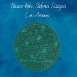Carpex Pisuvar Koku Giderici Süzgeci - Çam