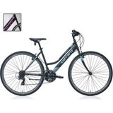 Carraro Actıve 282 28 Jant 400H 21-V Şehir Bisikleti - BİSİKLET - Siyah - Mor