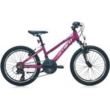 Carraro Force 201 250H V 20 Jant 21 Vites Mat Mürdüm Pembe Kız Çocuk Bisikleti