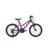 Carraro Force 201 250H V 20 Jant 21 Vites Mat Mürdüm Pembe Kız Çocuk Dağ Bisikleti