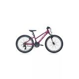 Carraro Force 401 24 Jant Shimano 21 Vites Dağ Bisikleti Mürdüm