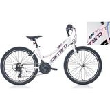Carraro Speed 242 24 Jant Toz Pembe Mavi Fuşya Dağ Bisikleti
