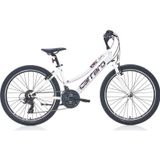 Carraro Speed 242 360H 24"Jant 21 Vites Vb Dağ Bisikleti Toz Pembe Fuşya